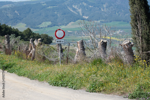 countryside road in southern Italy. horizontal photography 