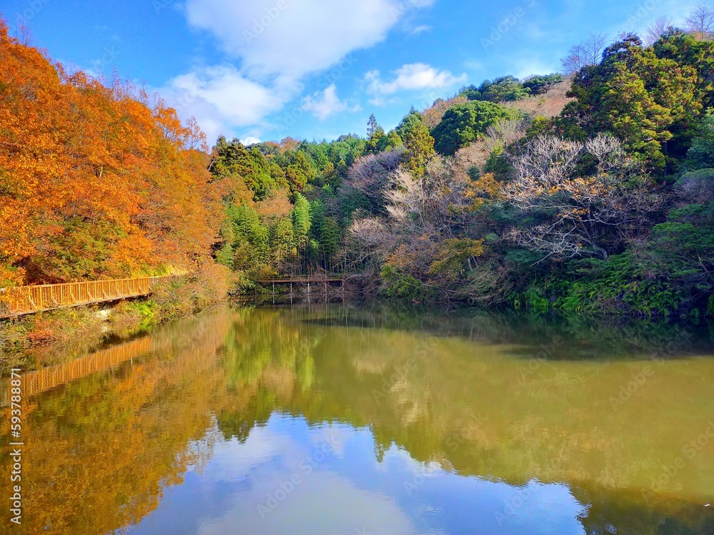 日本の和歌山県の観光地、「道の駅 四季の郷公園」 FOOD HUNTER PARKにあるため池と紅葉した木々と青空が美しい秋の自然風景（コピースペースあり）