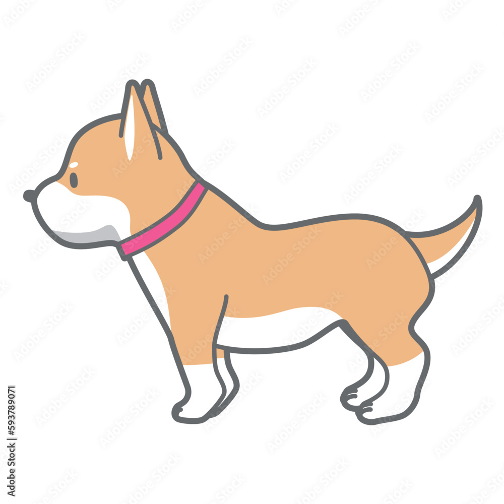 横向きの柴犬のベクターイラスト Stock ベクター | Adobe Stock