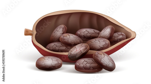 Cocoa pod with beans isolated on white transparent background. Ingredient for chocolate production. Realistic. Vector illustration