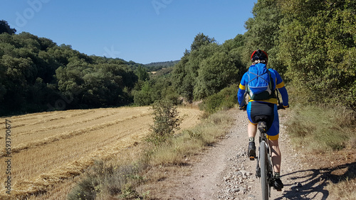 Paisagem com ciclistas percorrendo o caminho francês de Santiago de Compostela, pedalando por estrada rural, passsando por floresta e plantação de trigo.