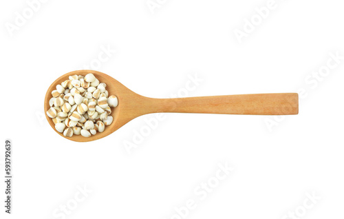 Millet in spoon isolated on transparent png