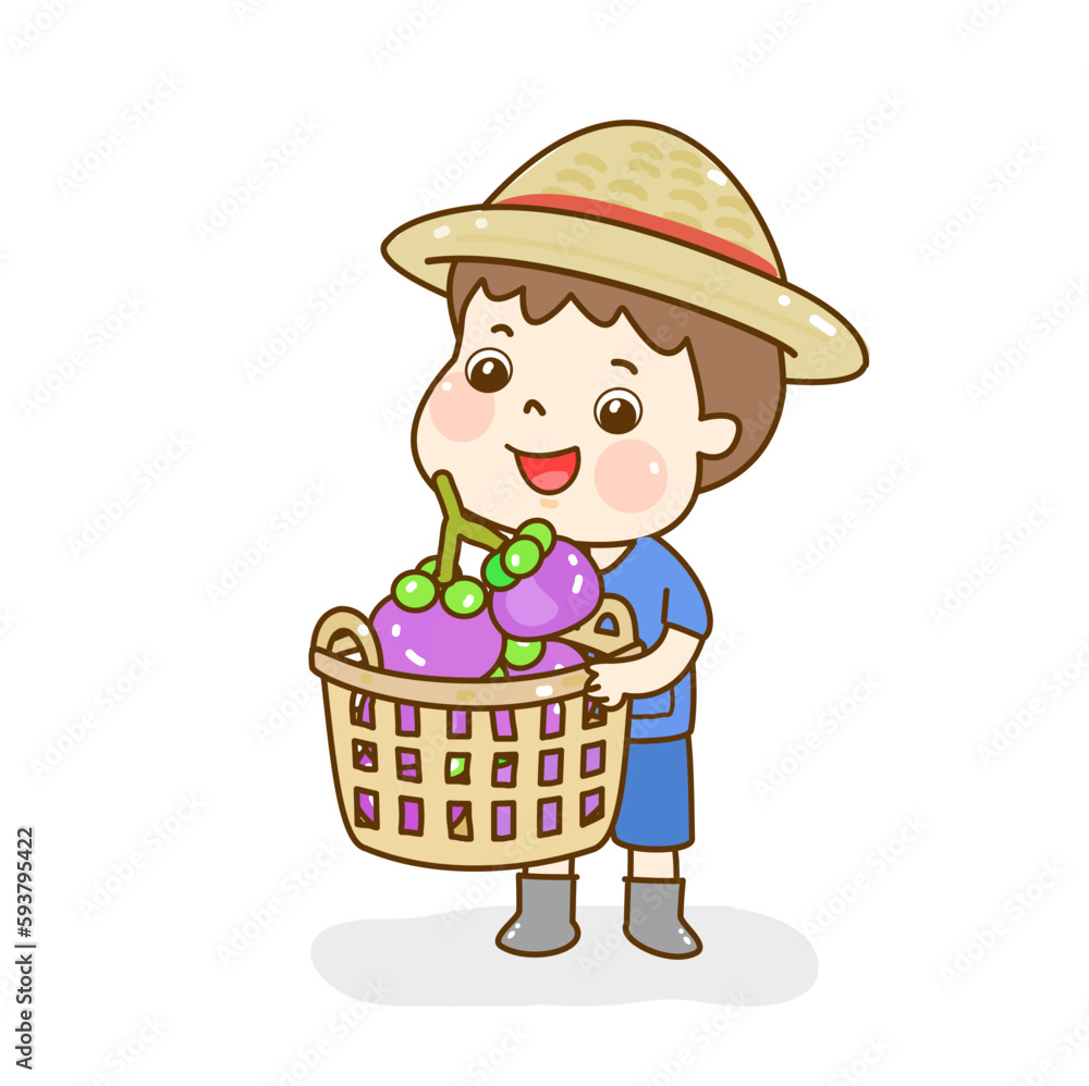 Set Mangosteen on Background Vector.