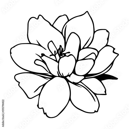 Flower Vector Icon