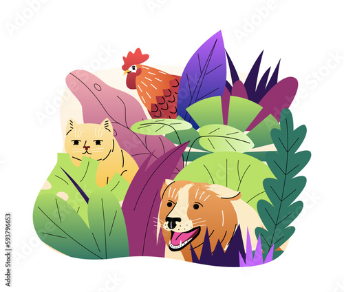 Animals spying and observing