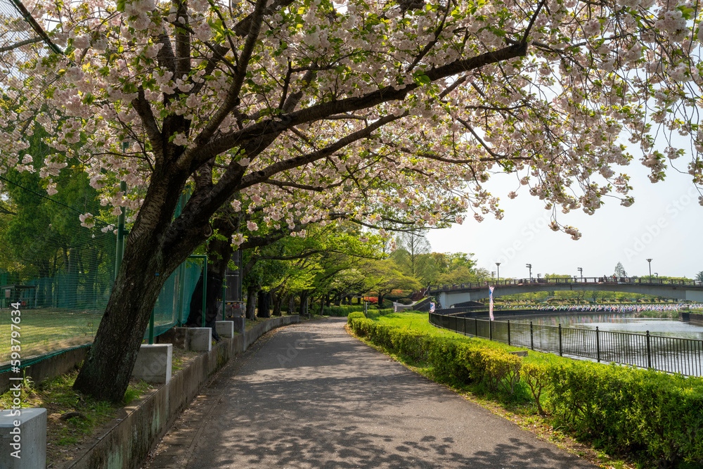 鶴生田川の風景