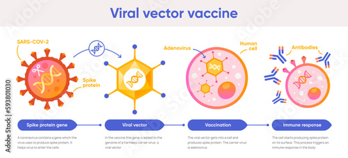 Viral vector vaccine