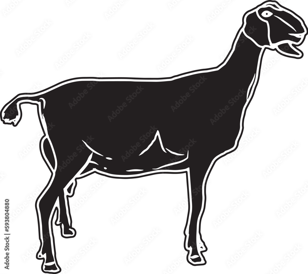 Nubian Goat Sketch Vector