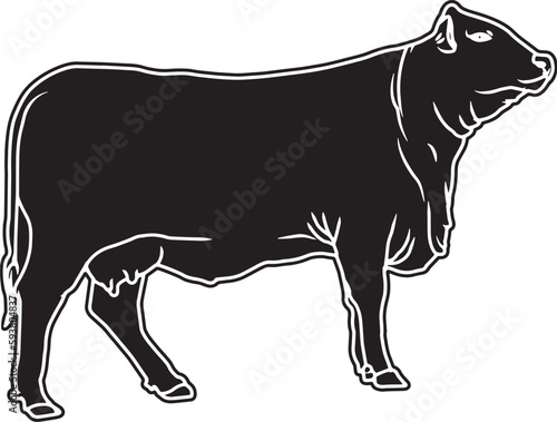 Santa Gertrudis Sketch Vector