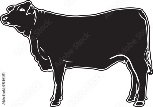 Red Brangus Sketch Vector