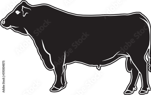 Red Angus  Sketch Vector