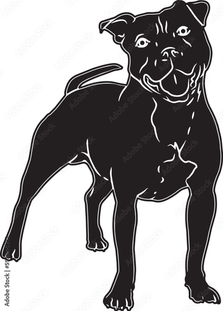 American Pitbull Terrier Sketch