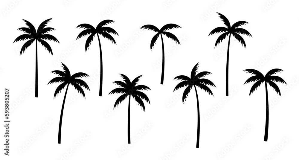 Palm tree vector silhouette coconut icon. Tropic palm tree miami black summer isolated design background.