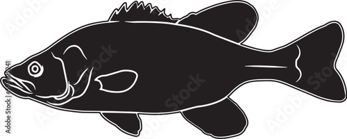 Spotted Bass Hand sketched, hand drawn vector clipart