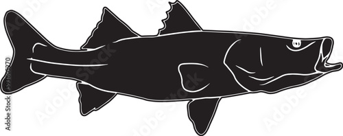 Snook Hand sketched, hand drawn vector clipart