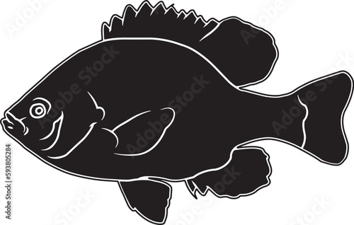 Pumpkinseed Hand sketched, hand drawn vector clipart