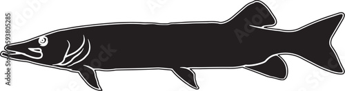 Muskellunge Hand sketched, hand drawn vector clipart