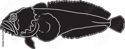 Oyster Toadfish Hand sketched, hand drawn vector clipart