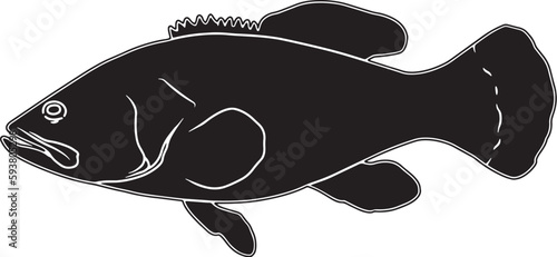 Goliath Grouper Hand sketched, hand drawn vector clipart