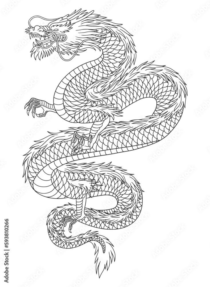 Fototapeta premium Line art of japanese dragon isolated on white background. vector illusration 