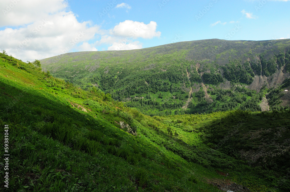 A deep crevice between high mountains overgrown with grass and thick bushes under a cloudy summer sky. A deep crevice between high mountains overgrown with grass and thick bushes under a cloudy summer sky.