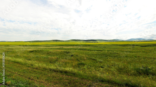 A wide steppe with mowed grass and a large yellow-flowered rapeseed field at the foot of high hills under a bright summer sky.