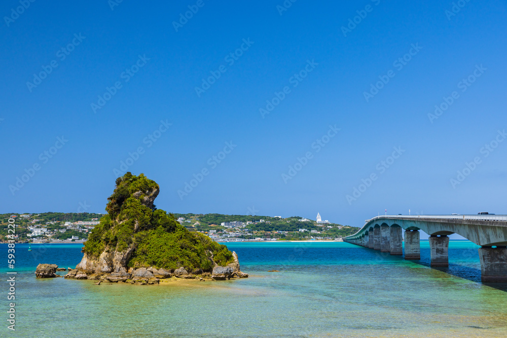Naklejka premium 沖縄-カエル島-