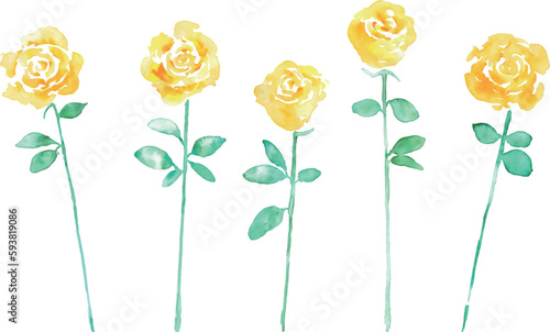水彩画。水彩タッチの黄色い薔薇ベクターイラスト。父の日の黄色い花イラスト。Watercolor painting. Yellow rose vector illustration with watercolor touch. Father's day yellow flower illustration.