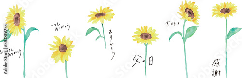 水彩画。水彩タッチの黄色いヒマワリベクターイラスト。父の日のヒマワリイラスト。Watercolor painting. Yellow sunflower vector illustration with watercolor touch. Father's day sunflower illustration.