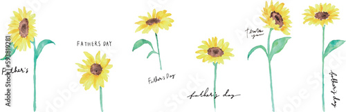 水彩画。水彩タッチの黄色いヒマワリベクターイラスト。父の日のヒマワリイラスト。Watercolor painting. Yellow sunflower vector illustration with watercolor touch. Father's day sunflower illustration.