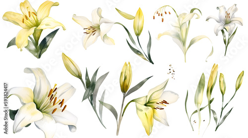 the yellow lily watercolor hand draw isolated on the white background. Generative AI