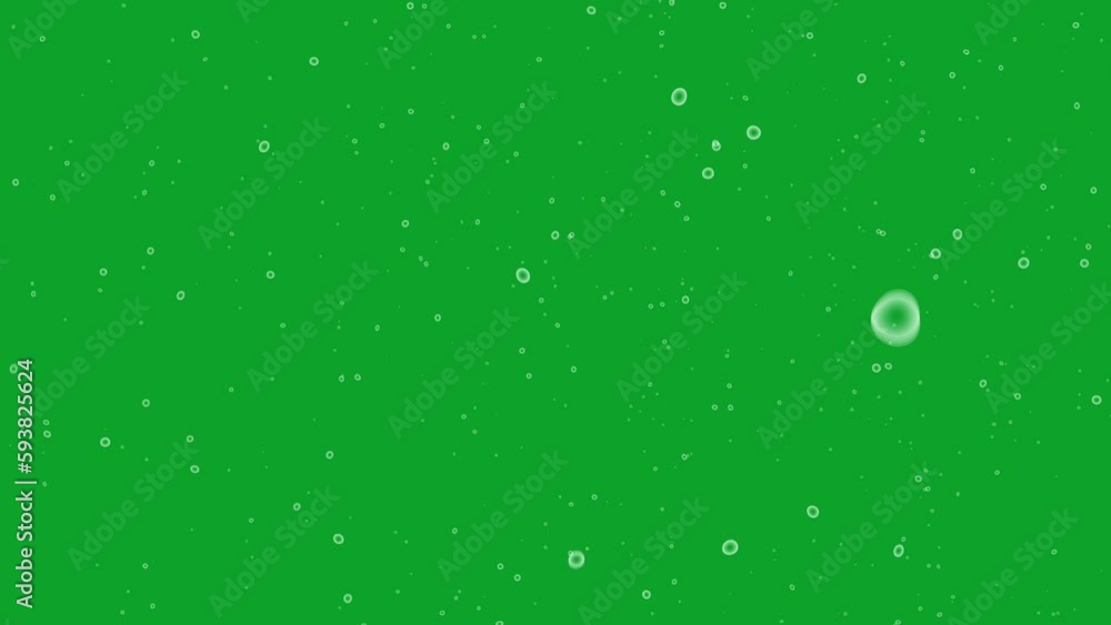 Soap bubble animation slowly falling on a green screen. Soap bubble fall on chroma key background.
