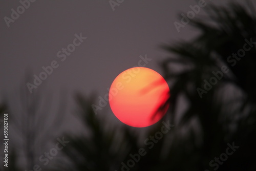 The red sun that is about to set