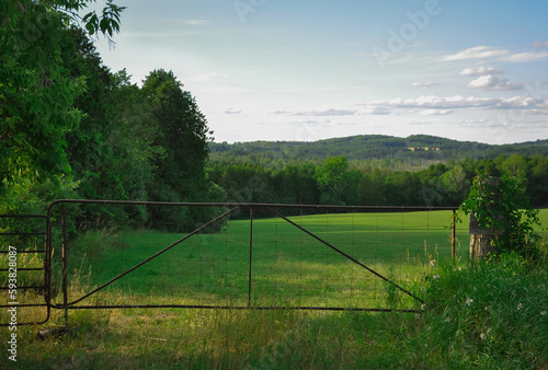Landscape with a fence