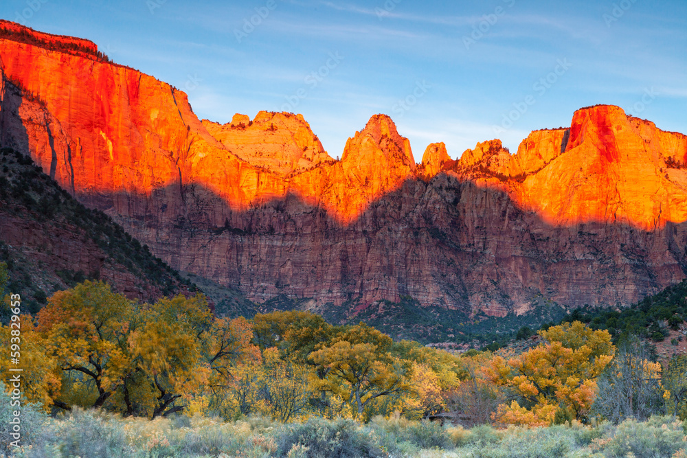 Morning glow in Zion National Park