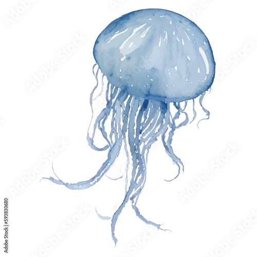 jellyfish with style hand drawn digital painting illustration