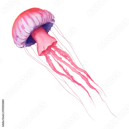 jellyfish with style hand drawn digital painting illustration