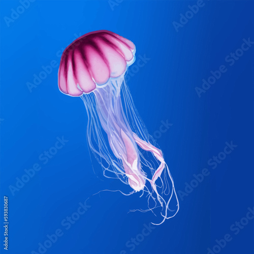 jellyfish with style hand drawn digital painting illustration