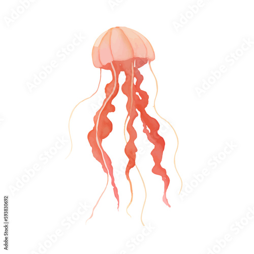 jellyfish with style hand drawn digital painting illustration