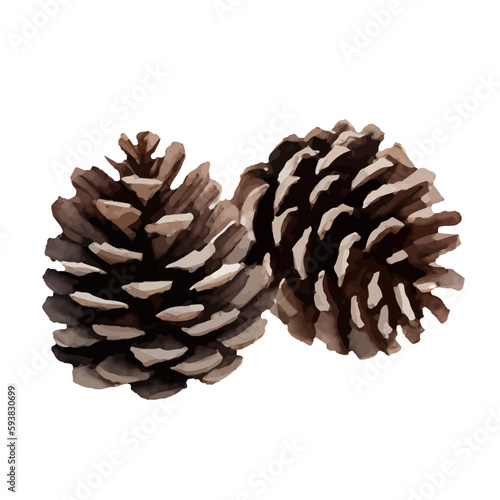 pine cone with style hand drawn digital painting illustration