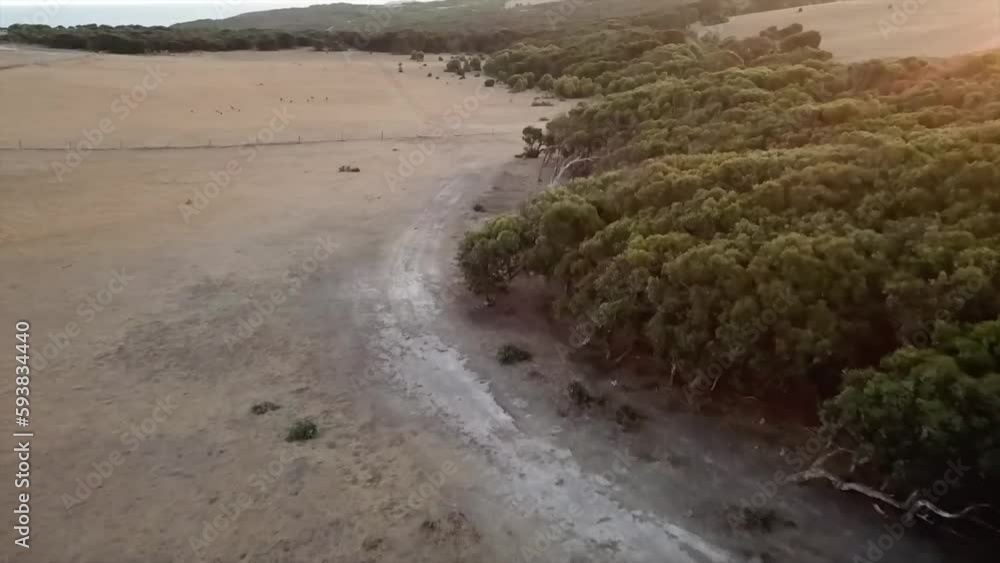 Drone flying during Sunset over Australian Fields with Kangaroo Drone flying during Sunset over Australian Fields with Kangaroo