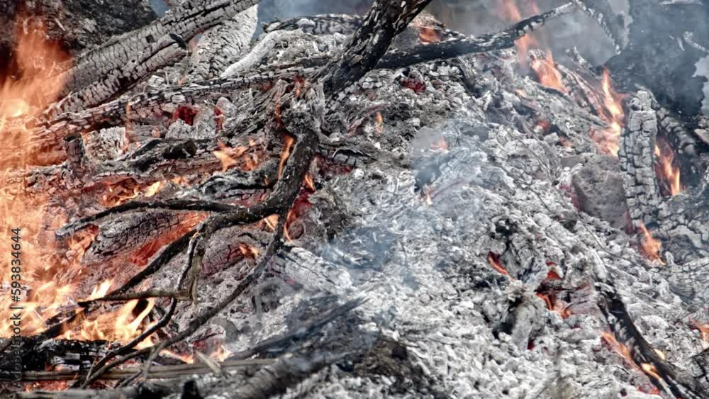 Close up panning shot of burning brush pile Close up panning shot of burning brush pile