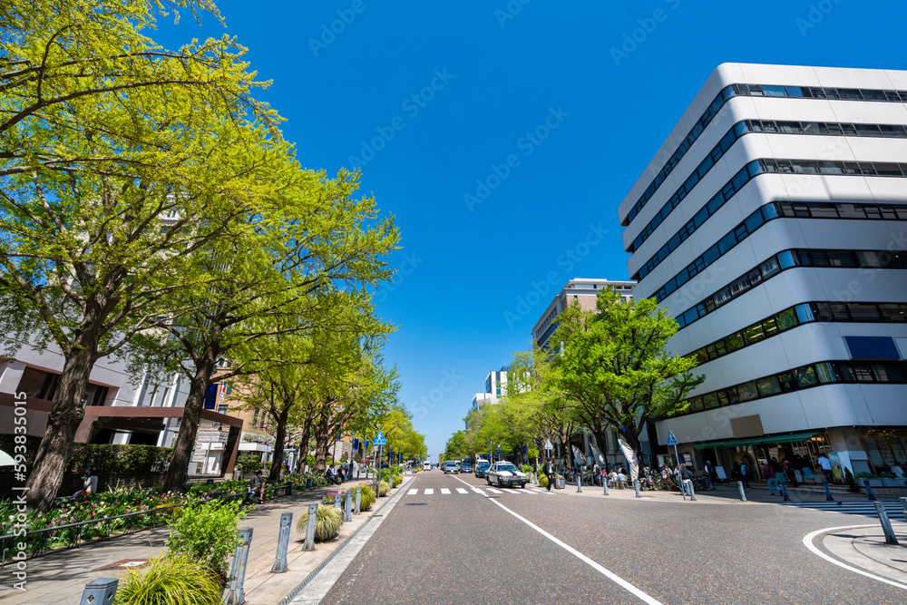 Obraz premium 新緑の横浜・日本大通りの風景(2023年4月)