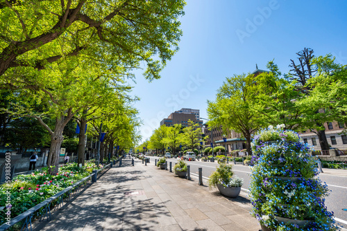 新緑の横浜・日本大通りの風景（2023年4月）