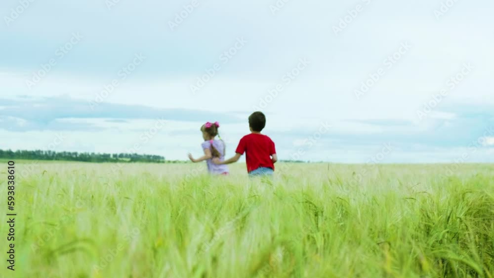 Happy Carefree Children Having Fun in the Summer Meadow Playing Catch-up. Happy Carefree Childhood Concept. Summertime Happy Carefree Children Having Fun in the Summer Meadow Playing Catch-up. Happy Carefree Childhood Concept. Summertime