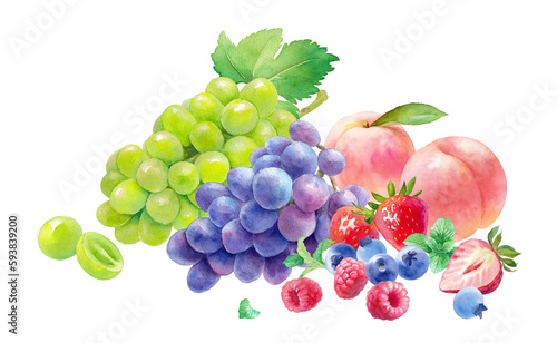 Fototapeta Naklejka Na Ścianę i Meble -  夏の果物の盛り合わせの水彩イラスト。3種のベリー（ラズベリー、ストロベリー、ブルーベリー）と桃、葡萄、マスカット。
