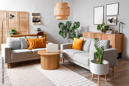 Interior of living room with green houseplants and sofas