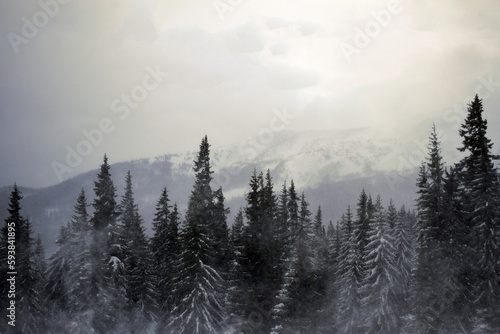 Beautiful tree in winter landscape in late evening in snowfall. Forest, foggy evening at mountains. Carpathian Mountain. A beautiful scenery 