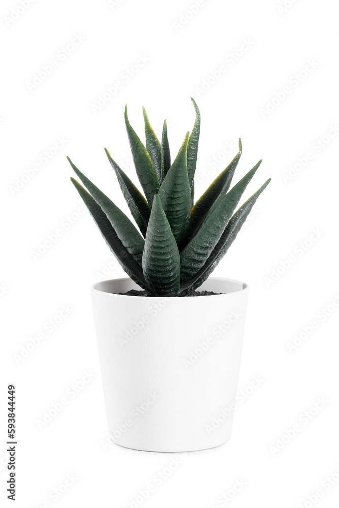 Artificial aloe on white background Artificial aloe on white background