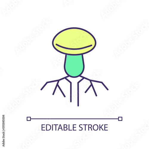 Mushroom mycelium RGB color icon. Fungal hyphae. Root like structure. Vegetative reproduction. Mycology science. Isolated vector illustration. Simple filled line drawing. Editable stroke